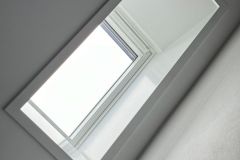 picture-1600-2